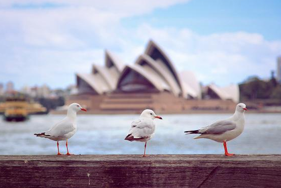 去澳洲中小学留学可享受什么福利？