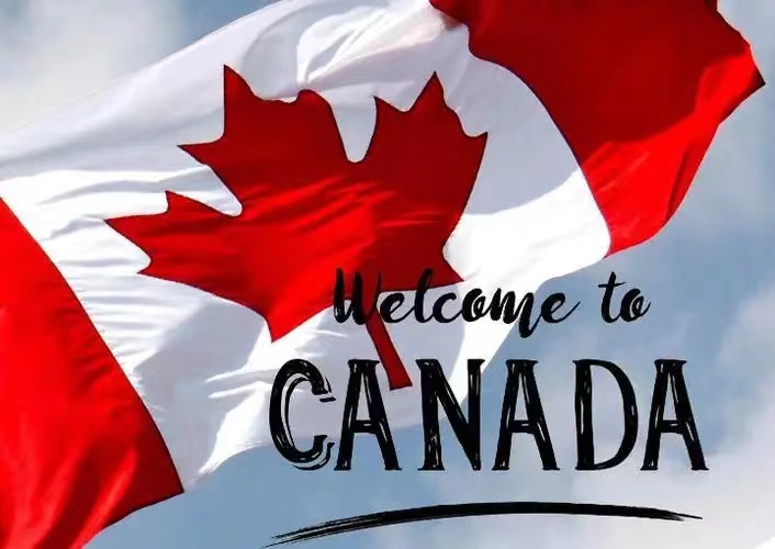 加拿大移民最受哪个年龄段的申请人欢迎？