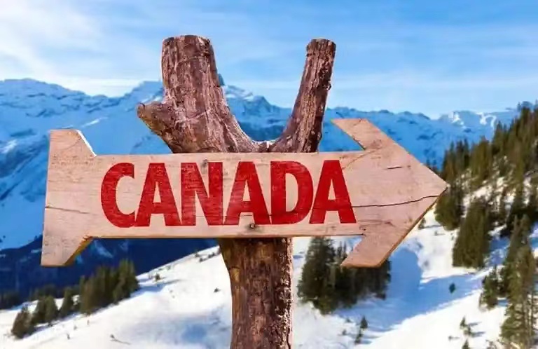 加拿大移民被拒签的原因有哪些？如何重新申请？