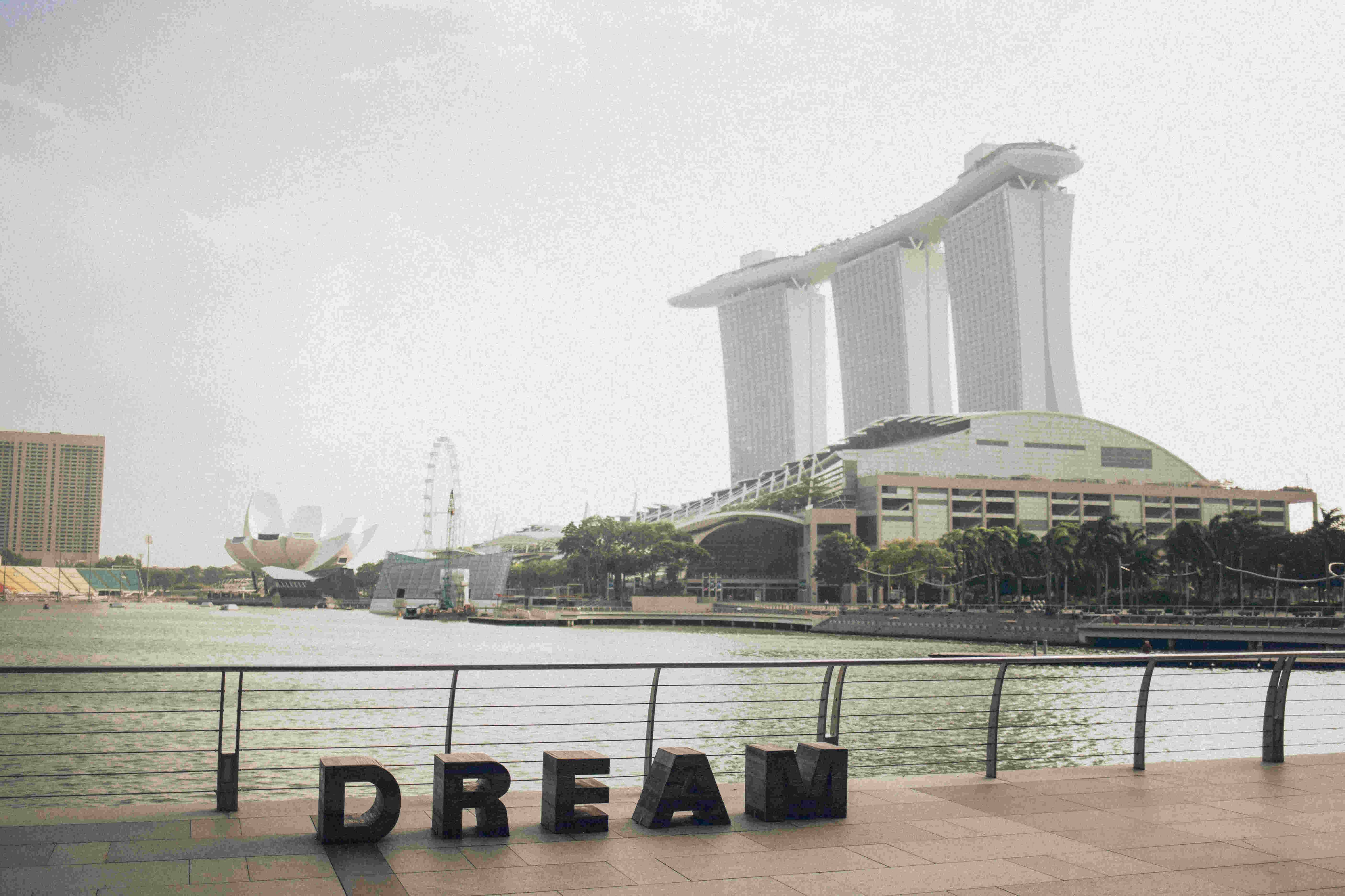 想要选择新加坡就业移民的申请条件和流程？快来看看这篇文章！