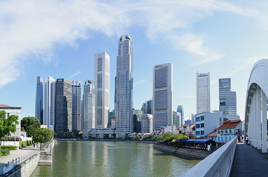 新加坡自雇移民对成立的公司有什么要求？