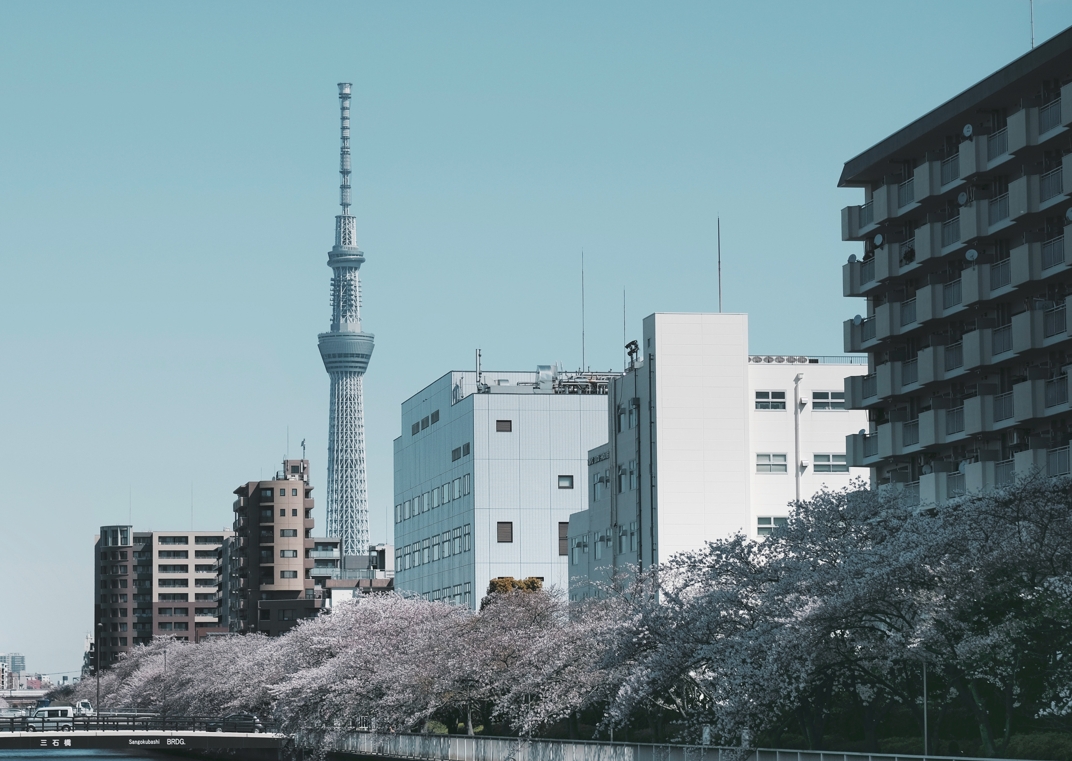 想要一年拿到日本永住，应该选择哪种方法移民日本？