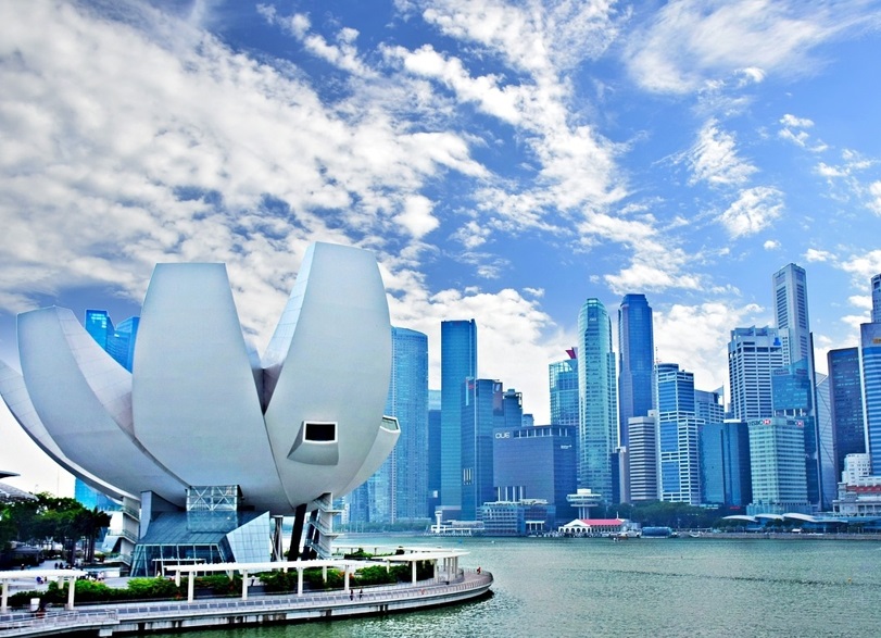 申请新加坡自雇EP移民，可以选择开哪些公司？