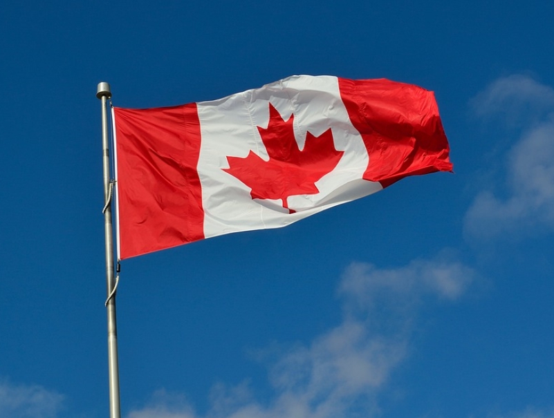 2024年工签政策预计收紧，移民加拿大要做好哪些准备？
