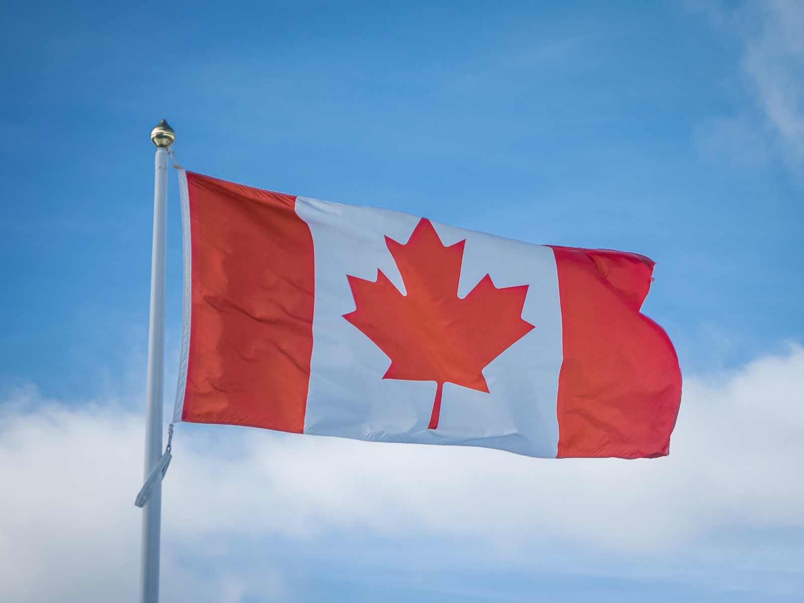 加拿大阿省雇主担保移民项目对申请人有哪些要求?
