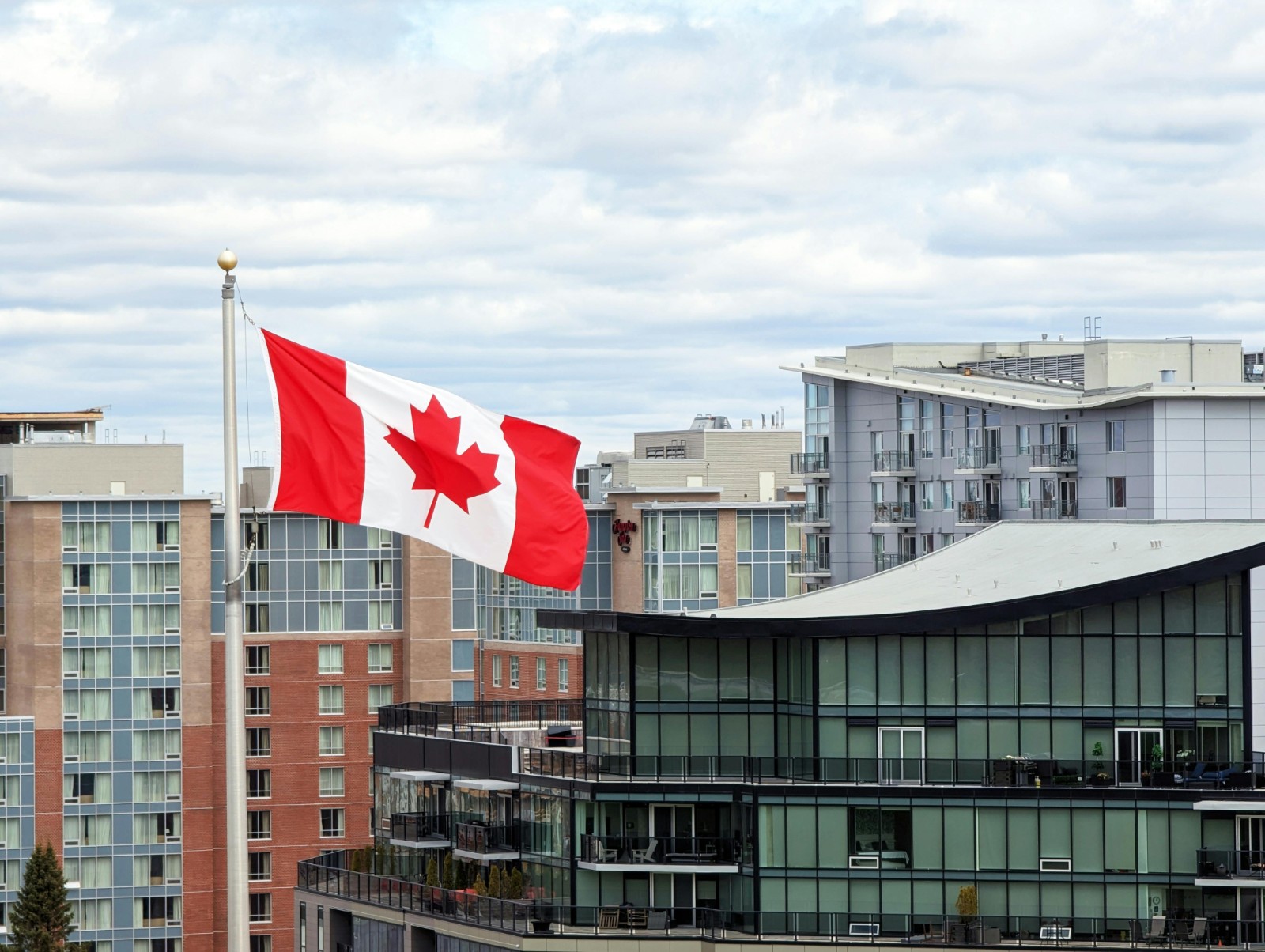 一步到位得永居——加拿大SUV创投移民到申请条件有哪些?