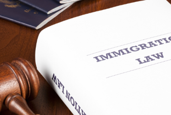 191永久技术移民签证